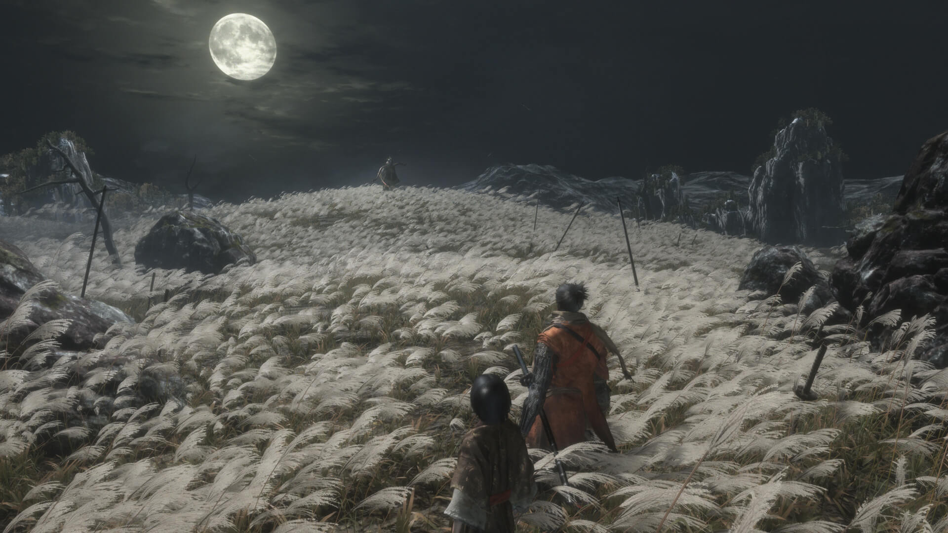 Изображение игры: Sekiro: Shadows Die Twice