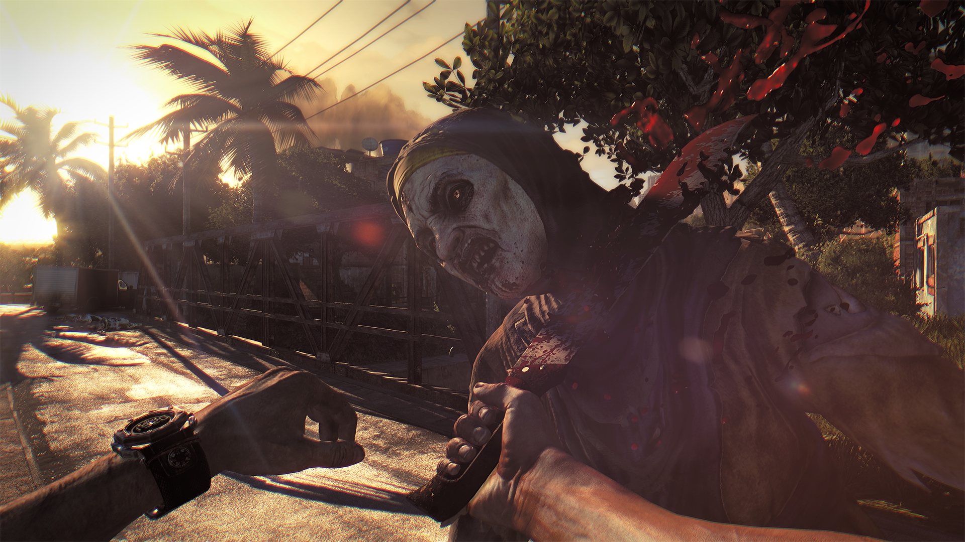 Изображение игры: Dying Light