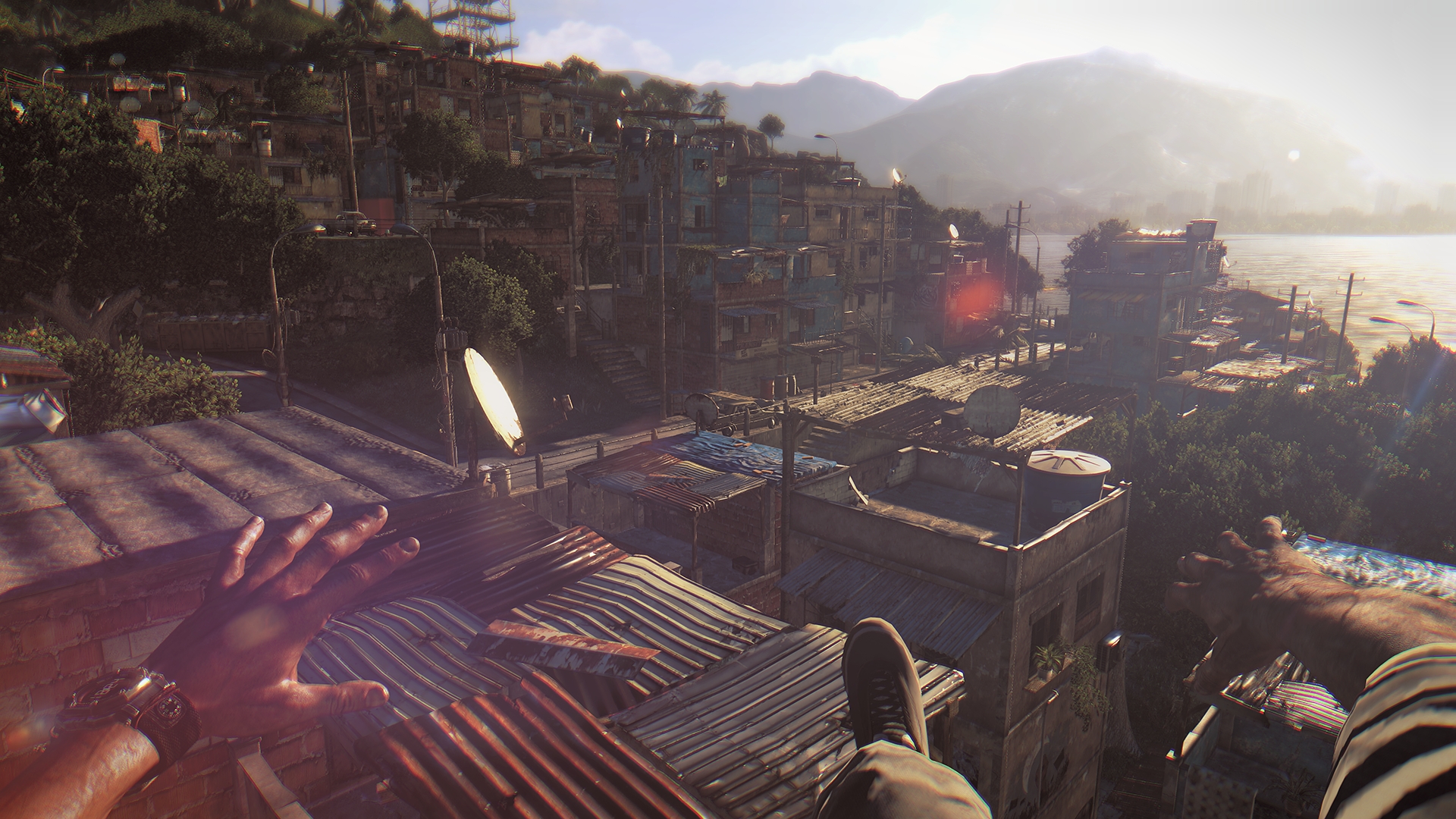 Изображение игры: Dying Light