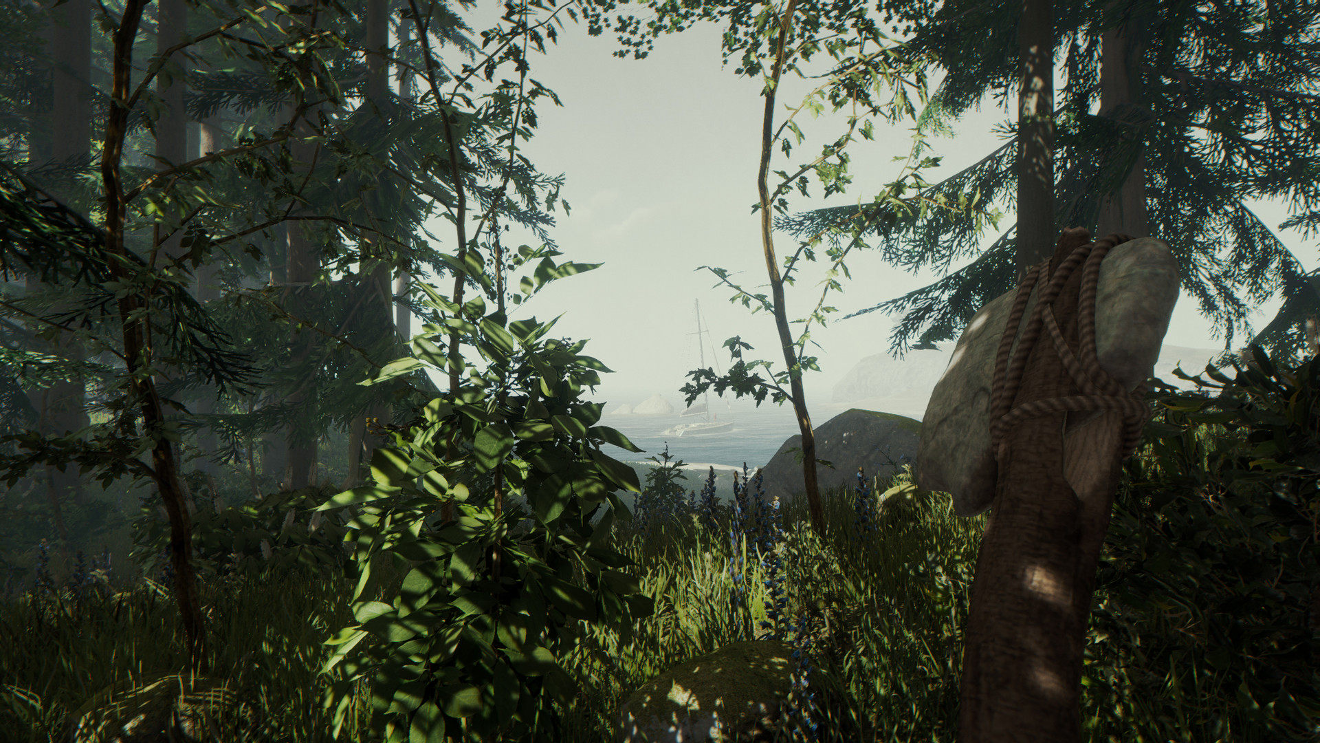 Изображение игры: The Forest