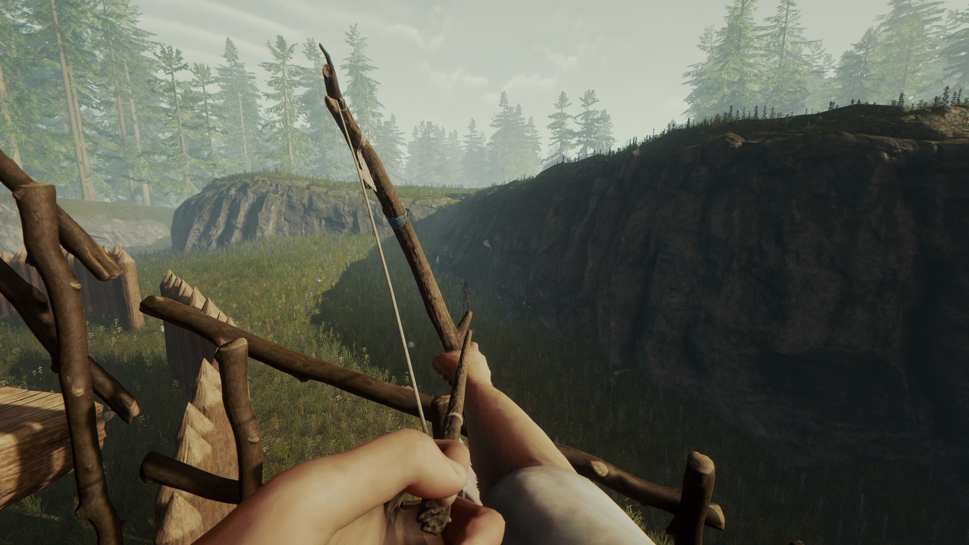 Изображение игры: The Forest