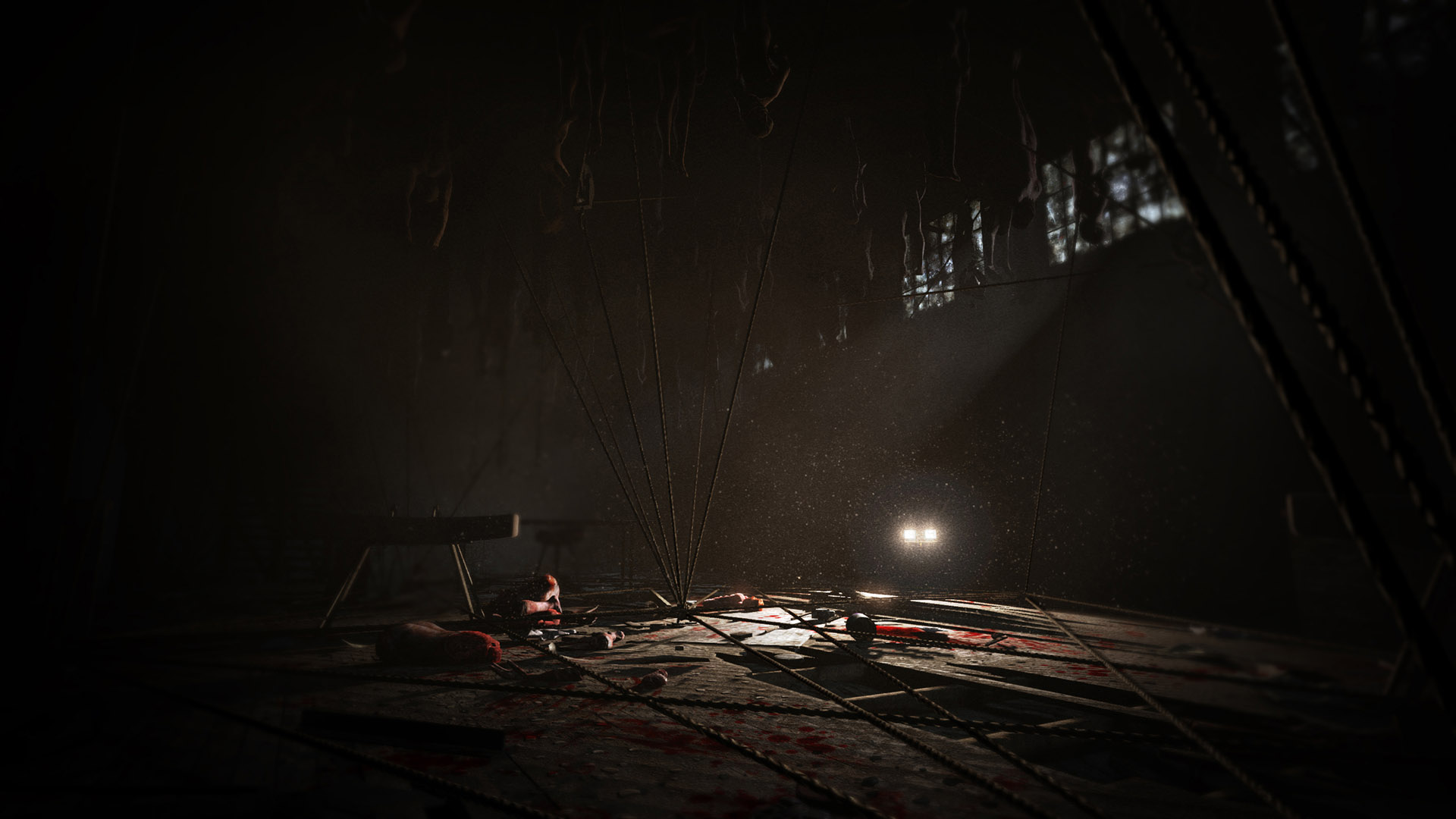 Изображение игры: Outlast: Whistleblower