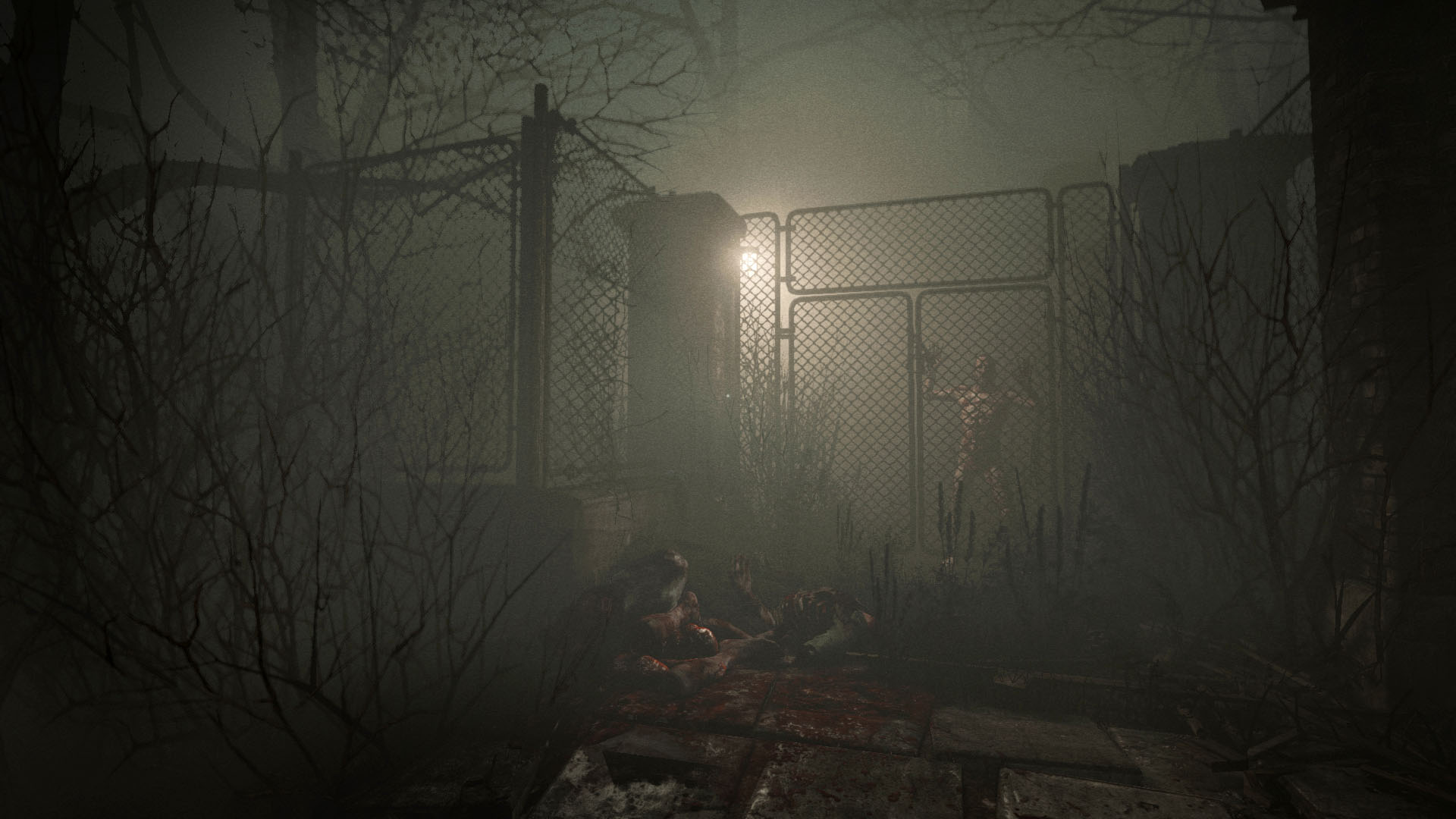 Изображение игры: Outlast: Whistleblower