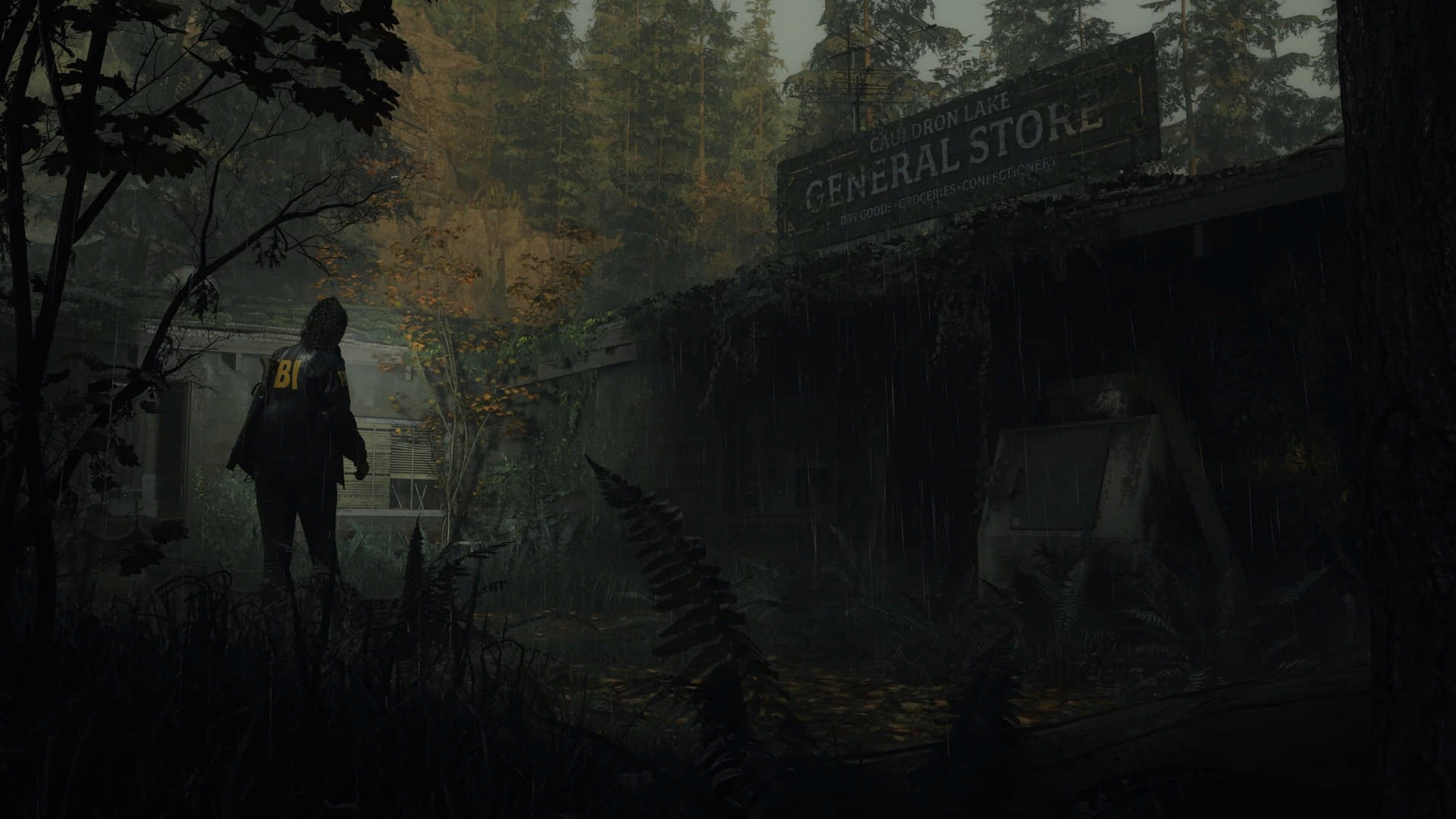 Изображение игры: Alan Wake 2