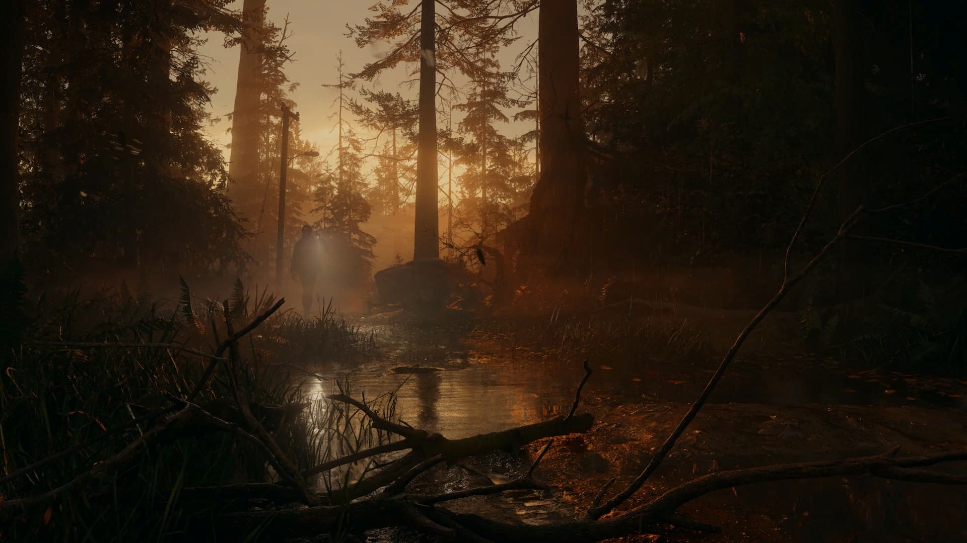 Изображение игры: Alan Wake 2