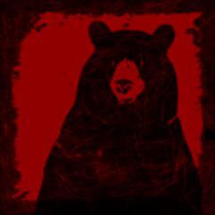 Bearly Legal