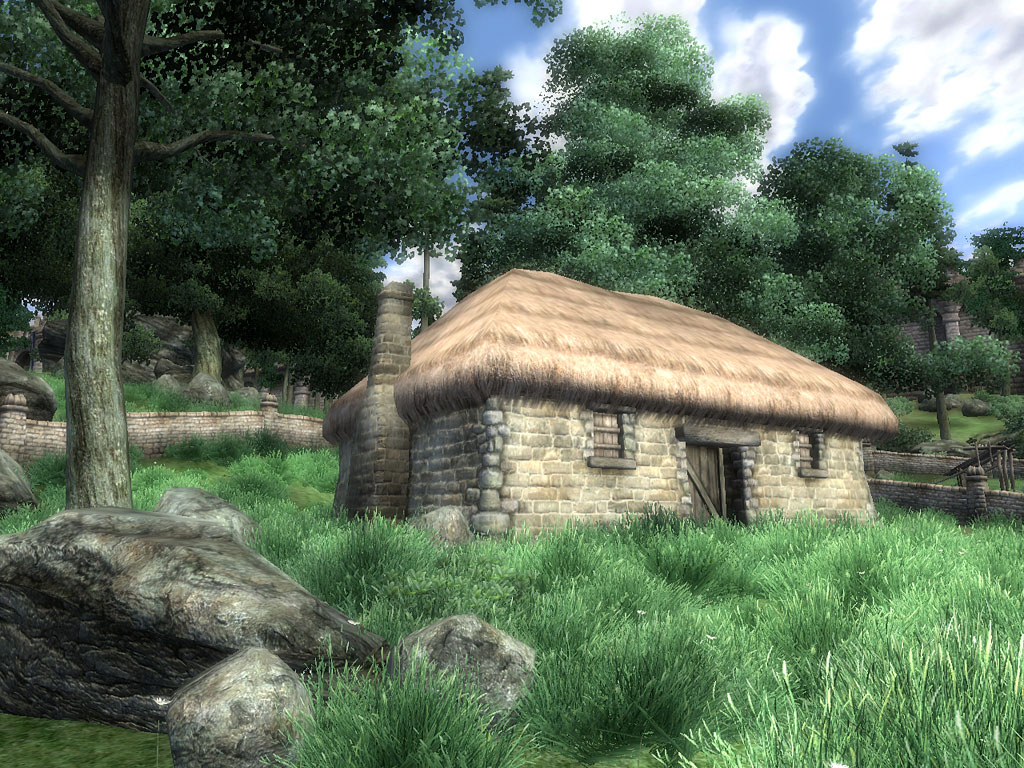 Изображение игры: The Elder Scrolls IV: Oblivion