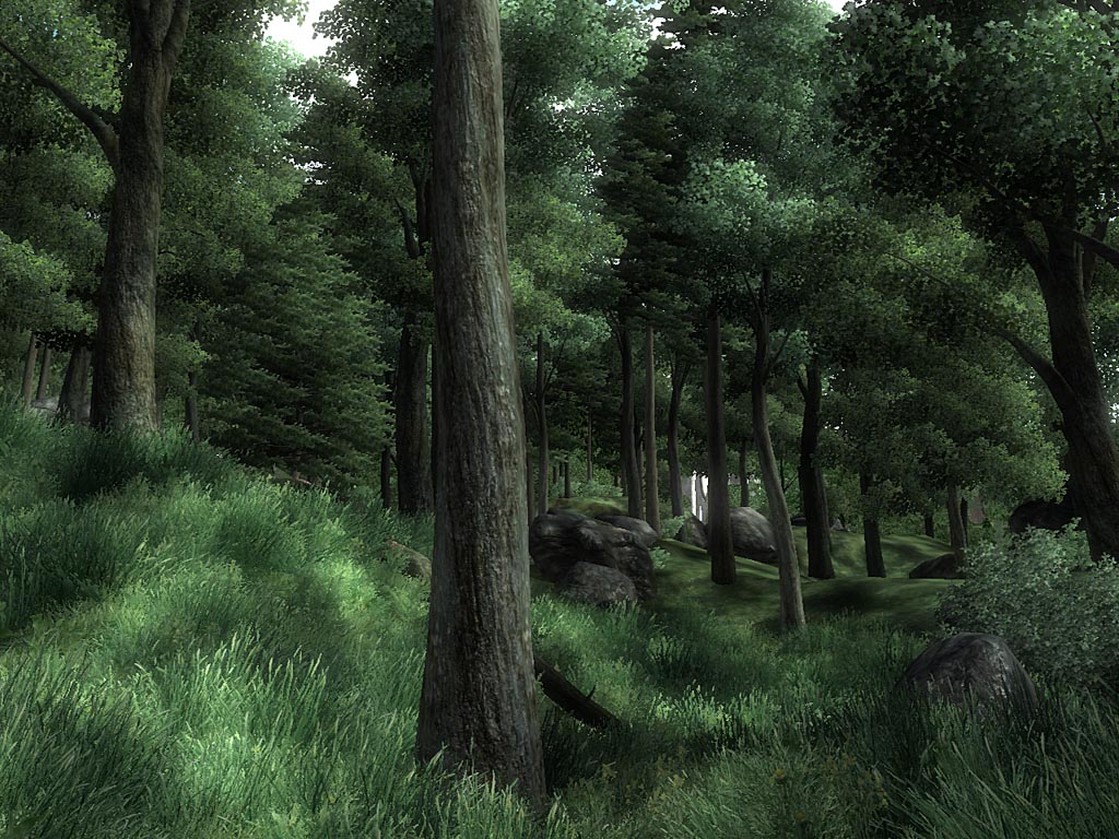 Изображение игры: The Elder Scrolls IV: Oblivion
