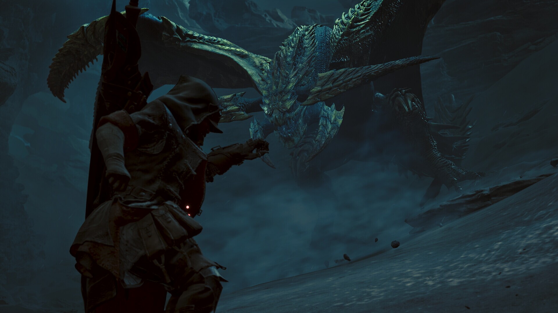 Изображение игры: Monster Hunter Wilds