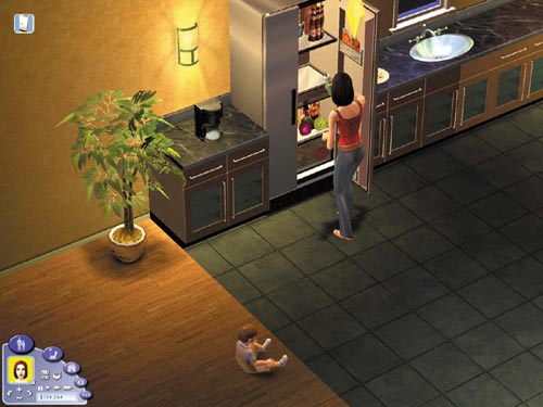 Изображение игры: The Sims 2