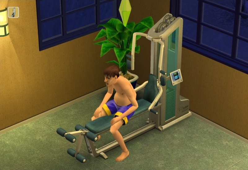 Изображение игры: The Sims 2