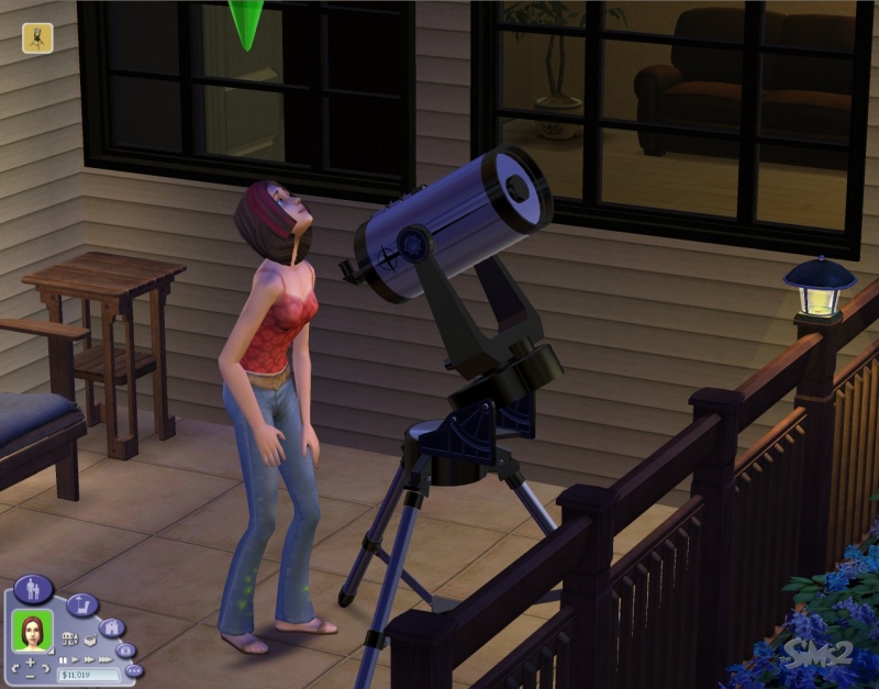 Изображение игры: The Sims 2