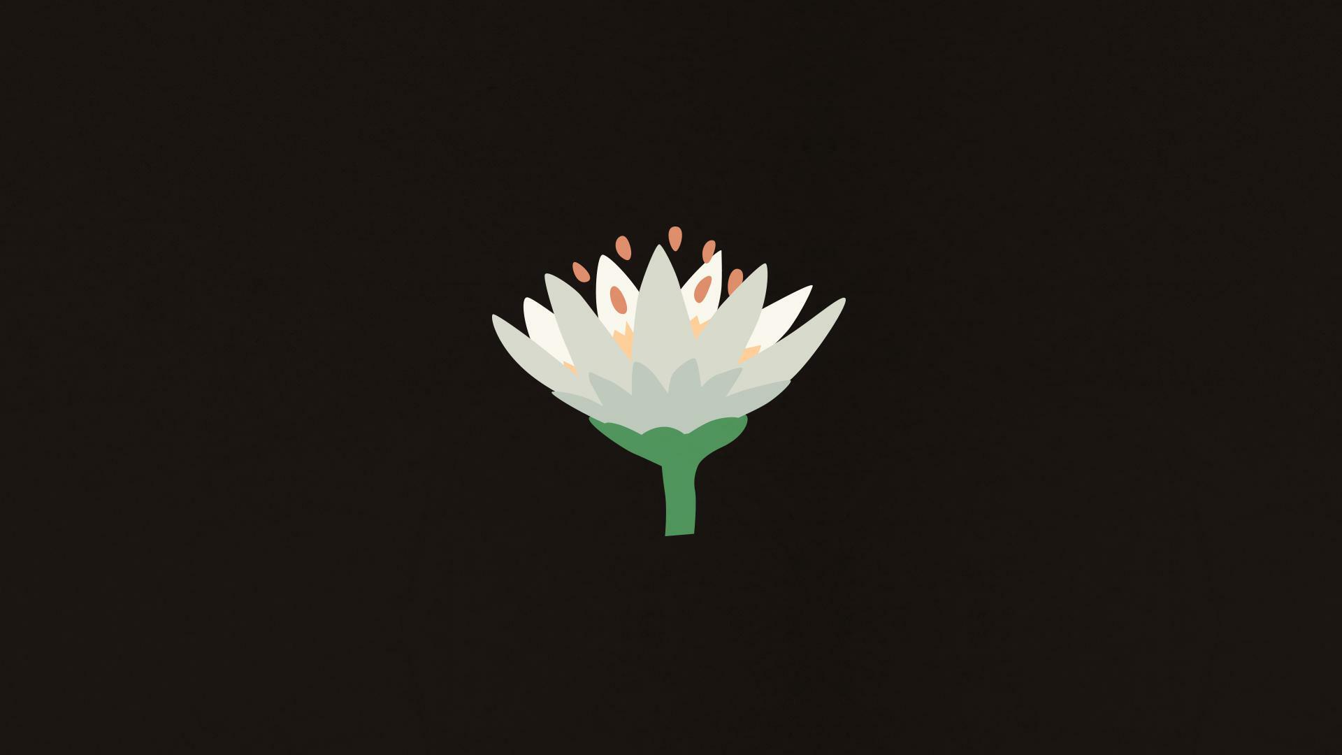 Bloom