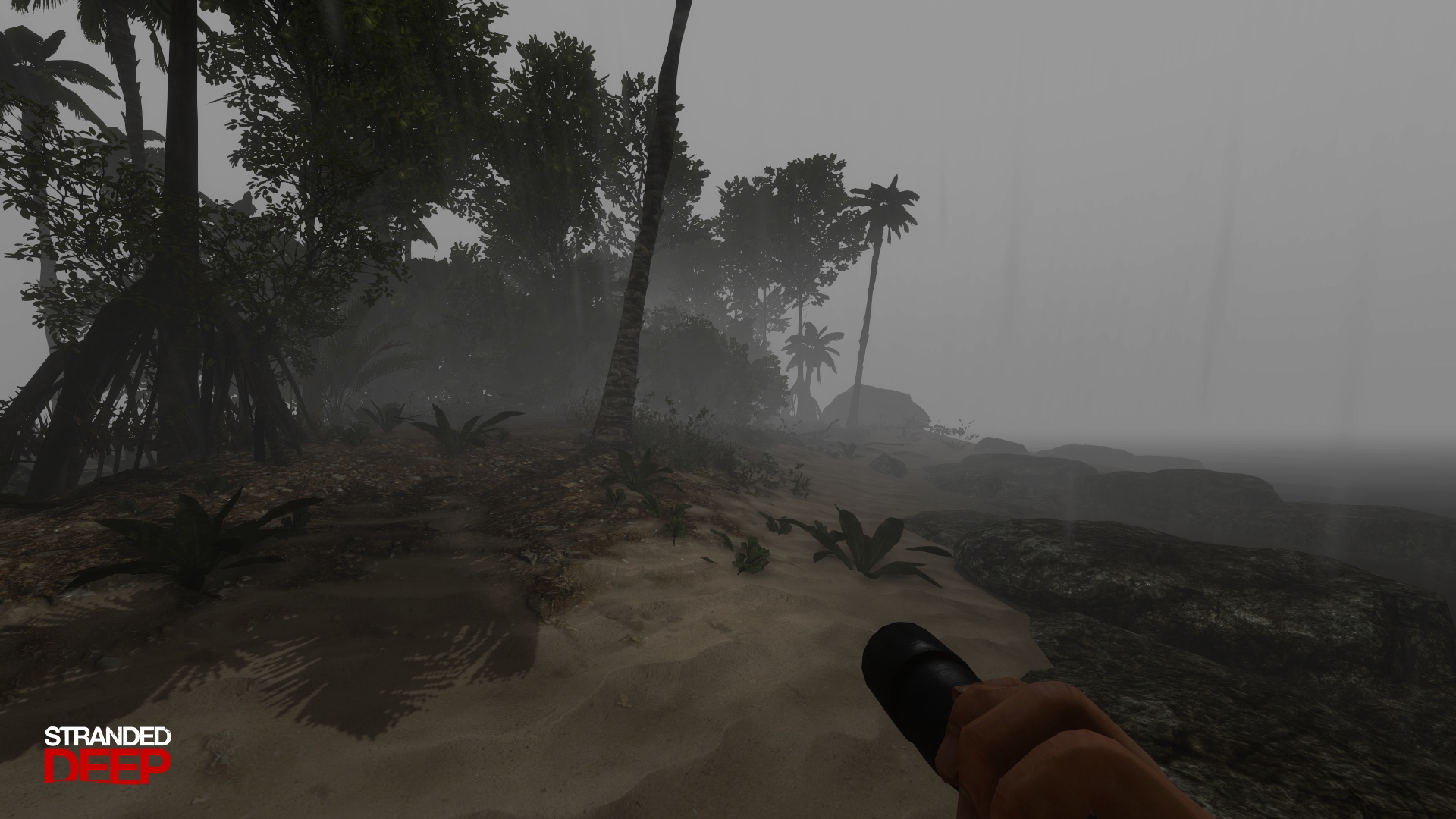 Изображение игры: Stranded Deep