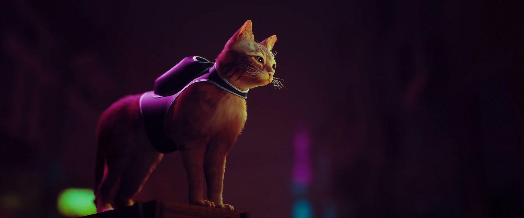 Изображение игры: Stray