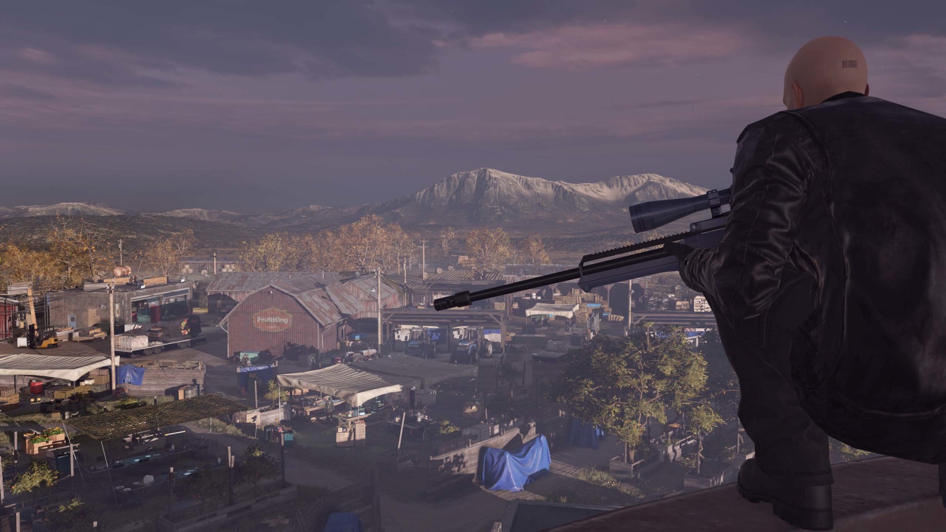 Изображение игры: Hitman