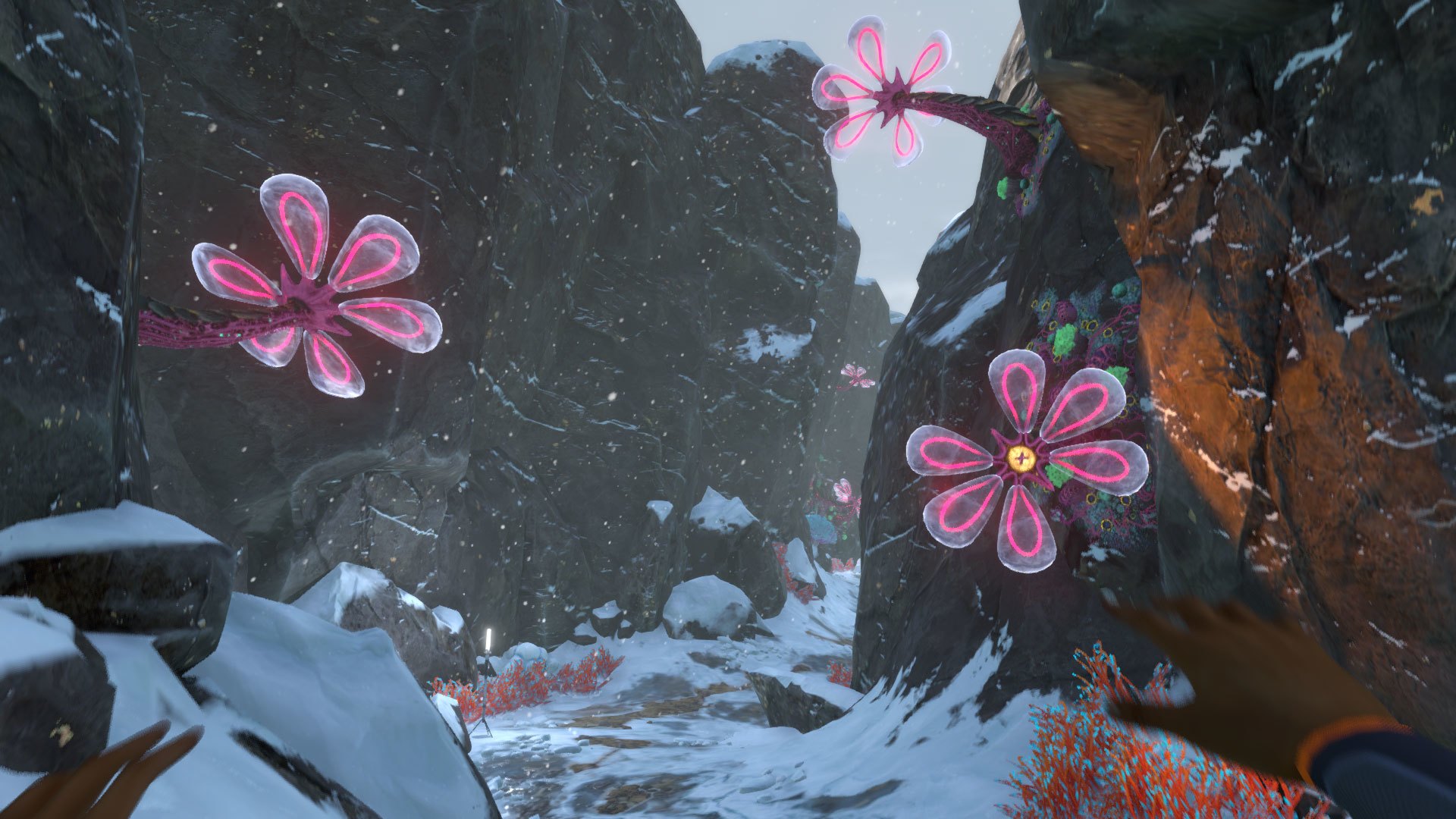 Изображение игры: Subnautica: Below Zero