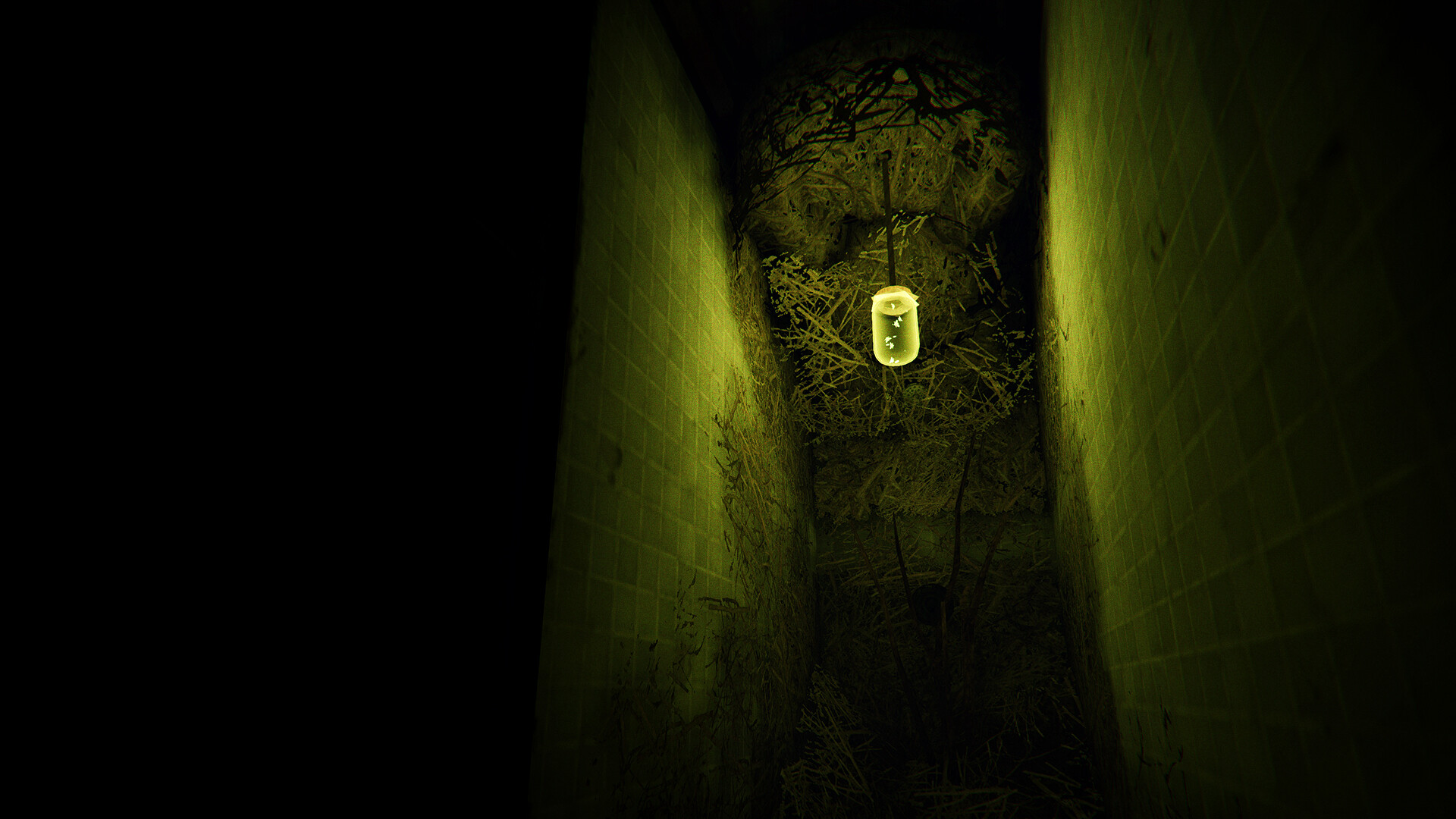Изображение игры: Phasmophobia