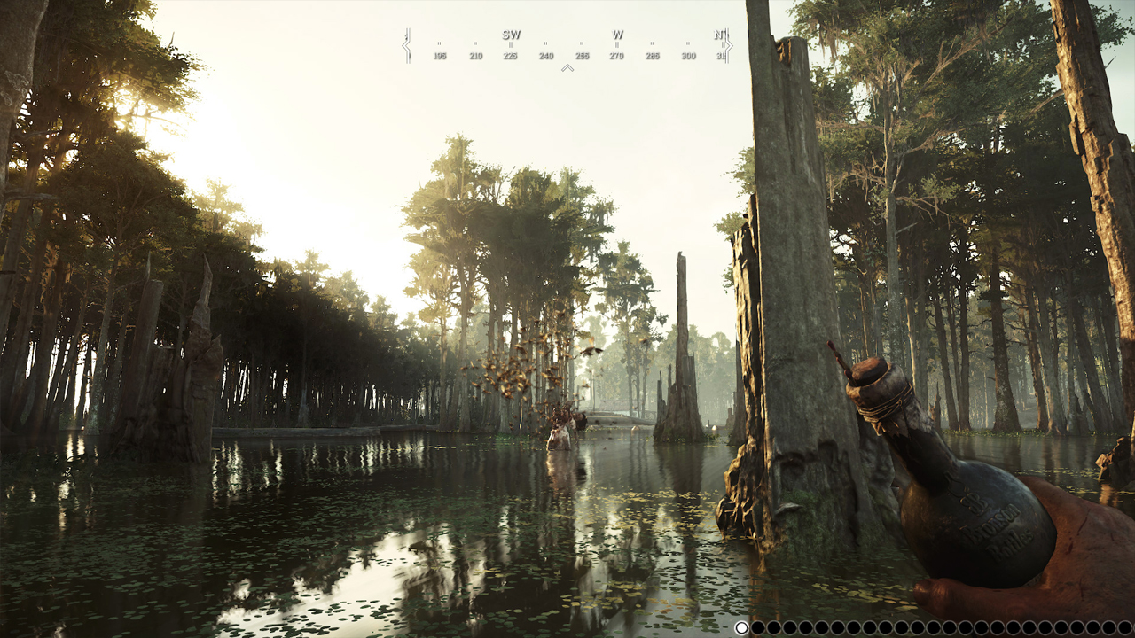Изображение игры: Hunt: Showdown