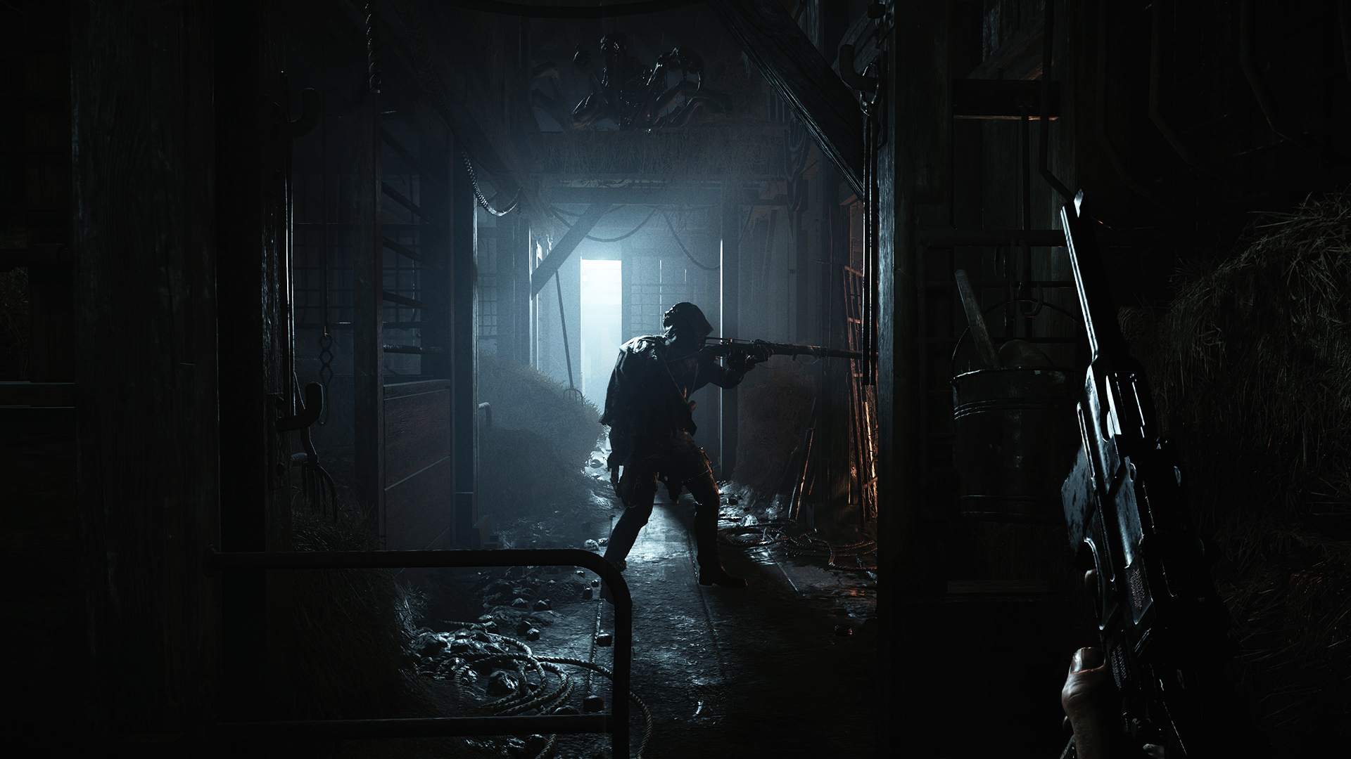 Изображение игры: Hunt: Showdown