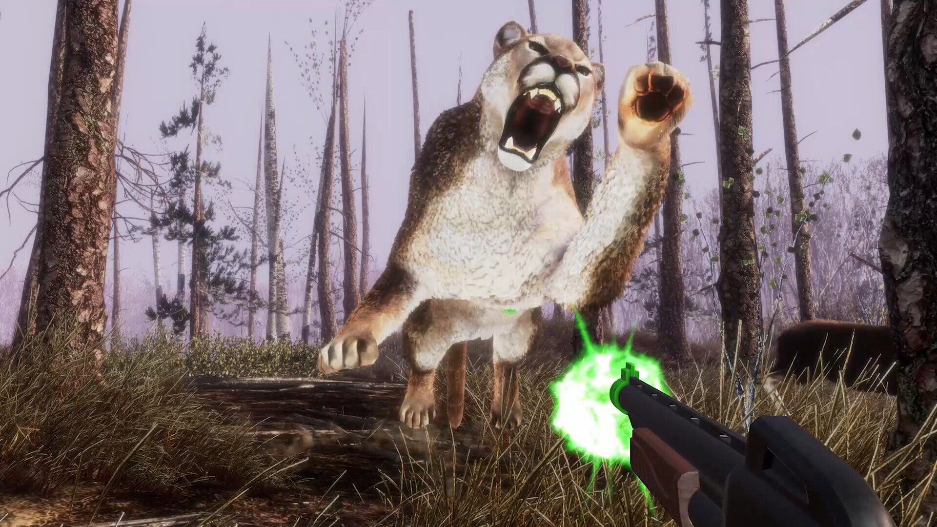 Изображение игры: Big Buck Hunter: Ultimate Trophy