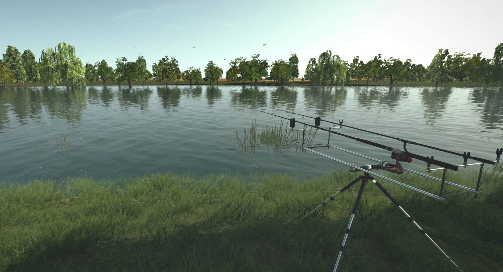 Изображение игры: Ultimate Fishing Simulator®