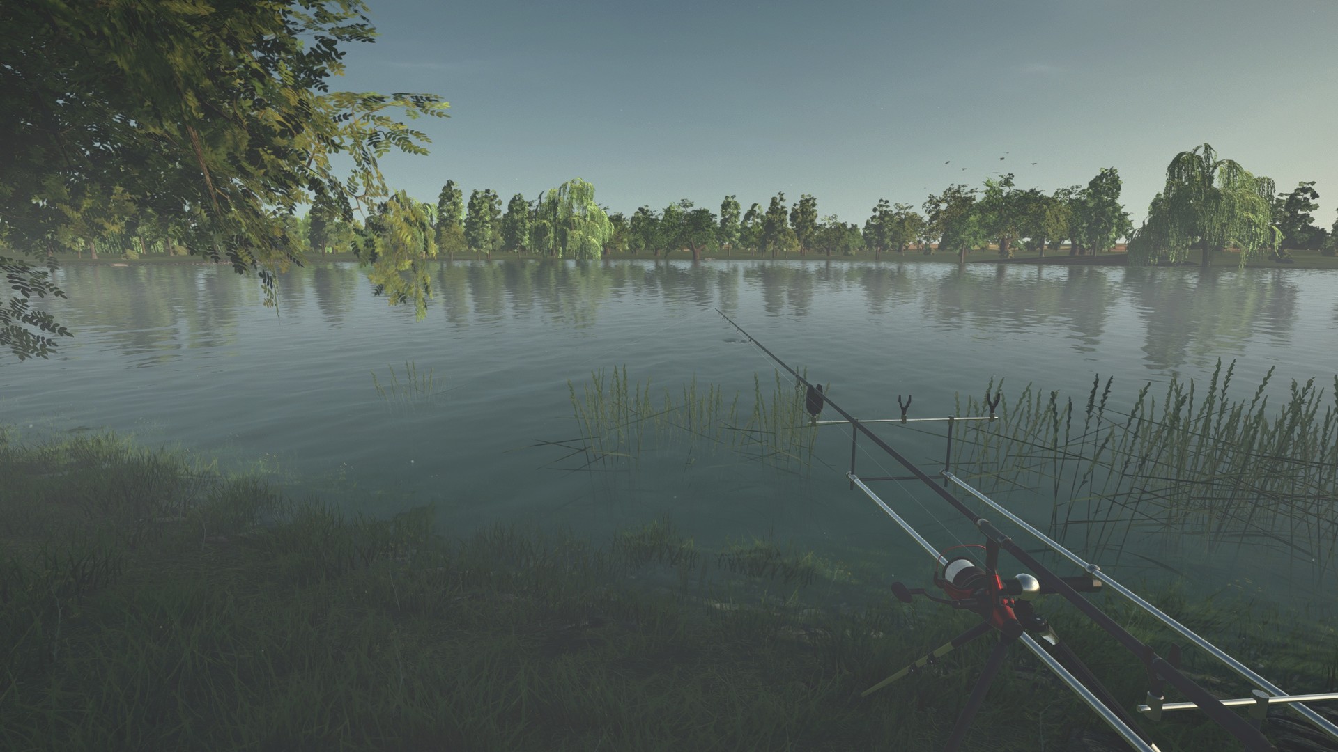 Изображение игры: Ultimate Fishing Simulator®