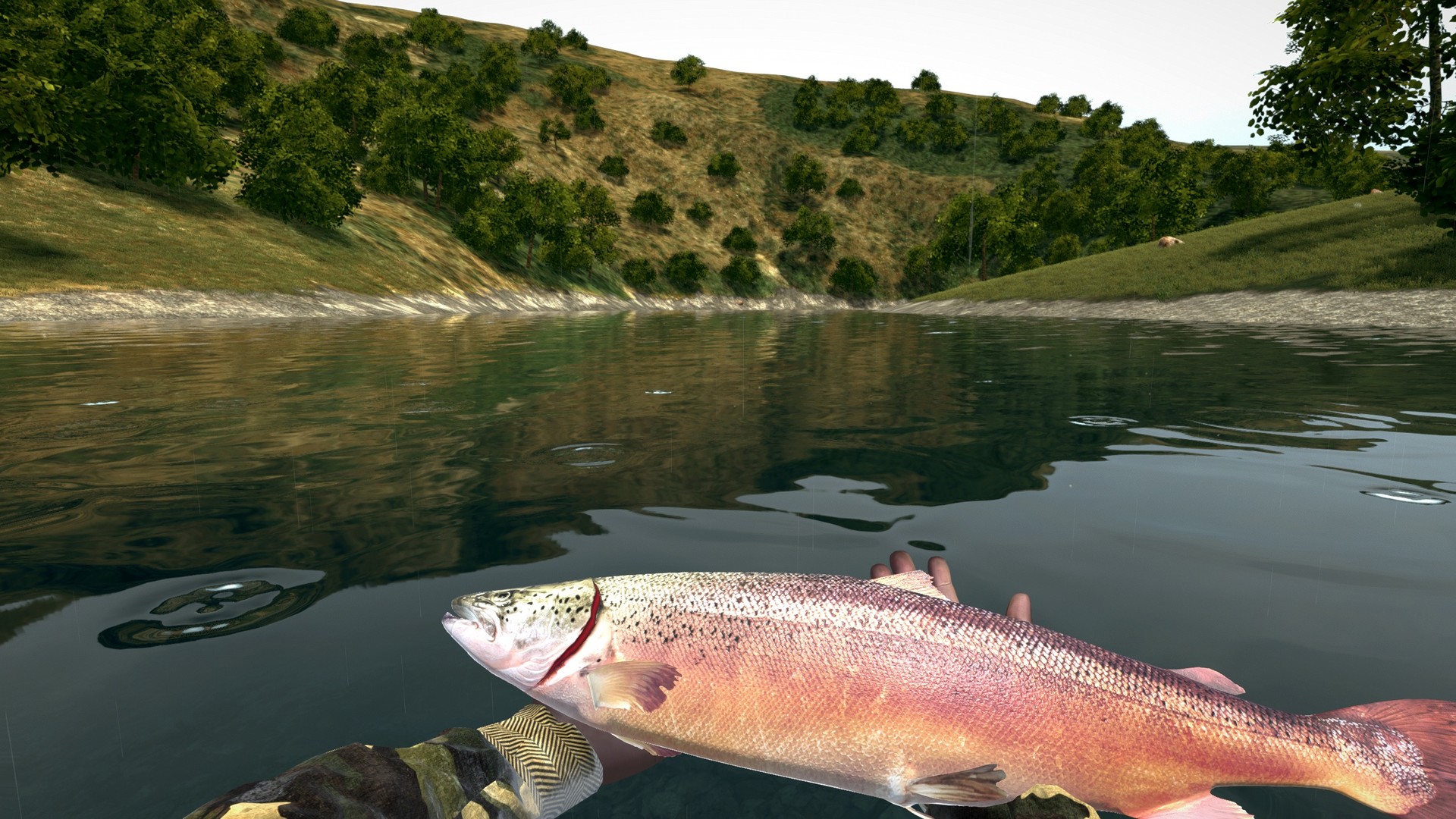 Изображение игры: Ultimate Fishing Simulator®