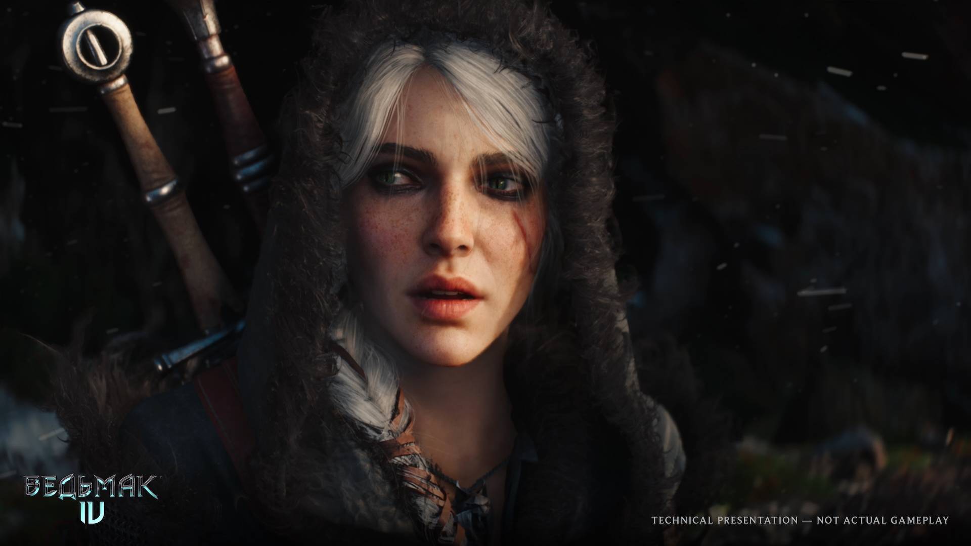 Изображение игры: The Witcher (A New Saga Begins)