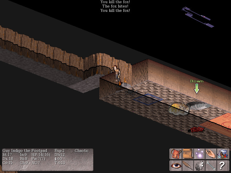 Изображение игры: Vulture for NetHack