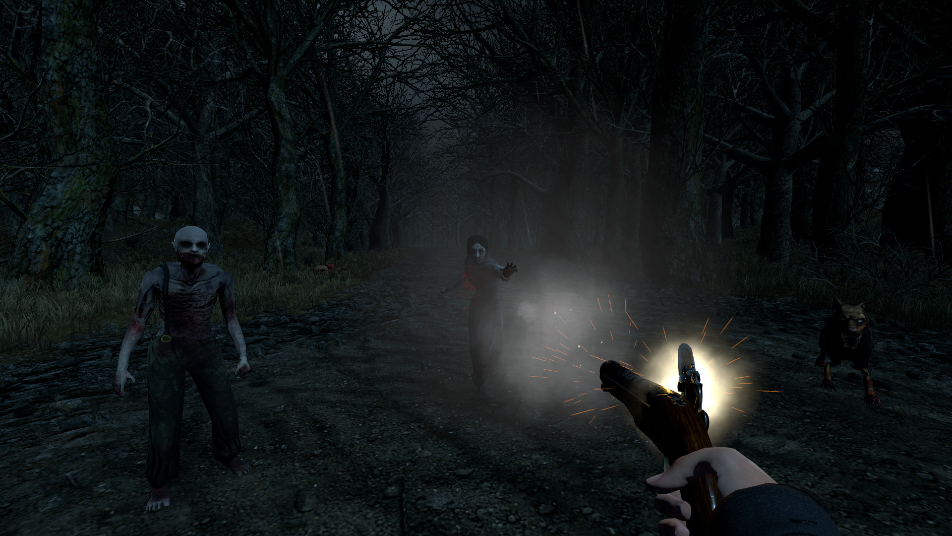 Изображение игры: Witch Hunt