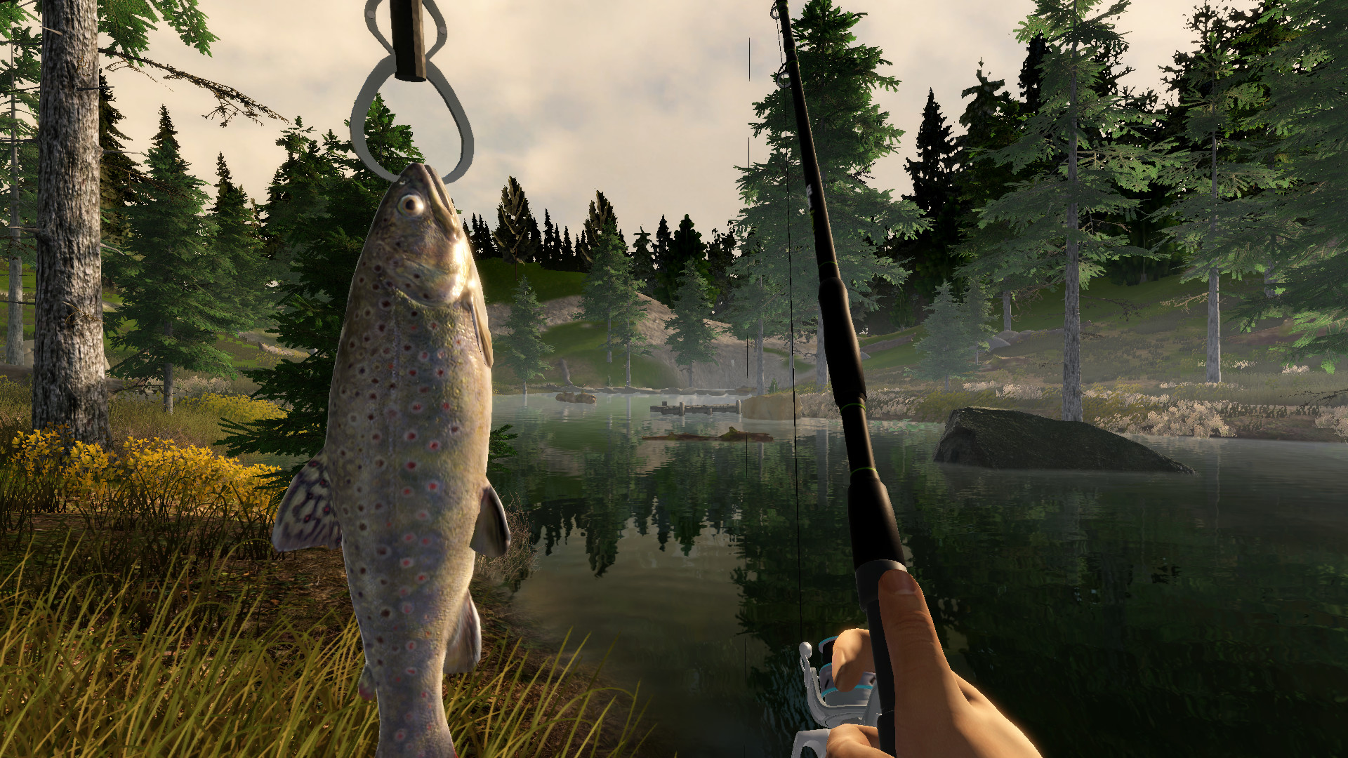 Изображение игры: Fishing Adventure