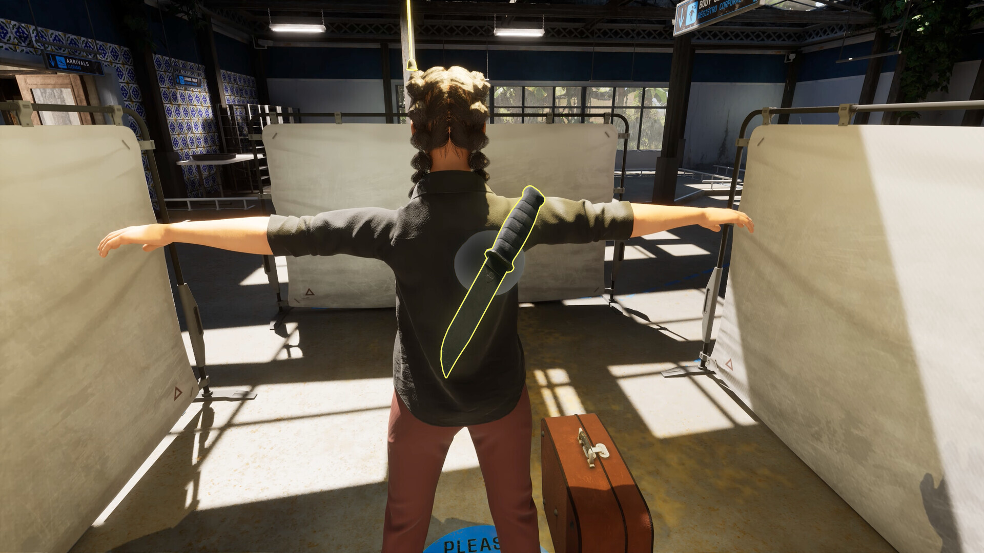 Изображение игры: Airport Contraband