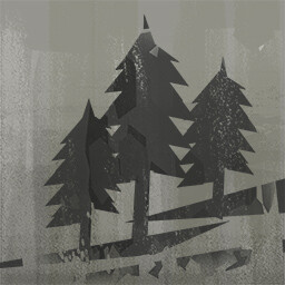 The Forest
