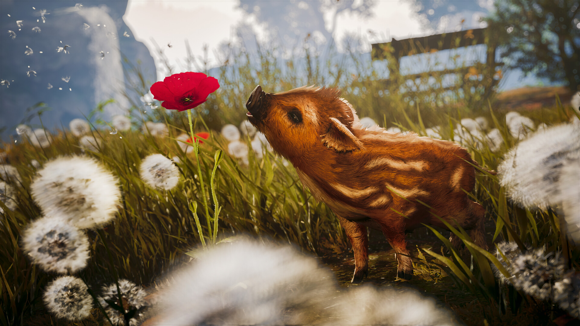 Изображение игры: Adorable Adventures
