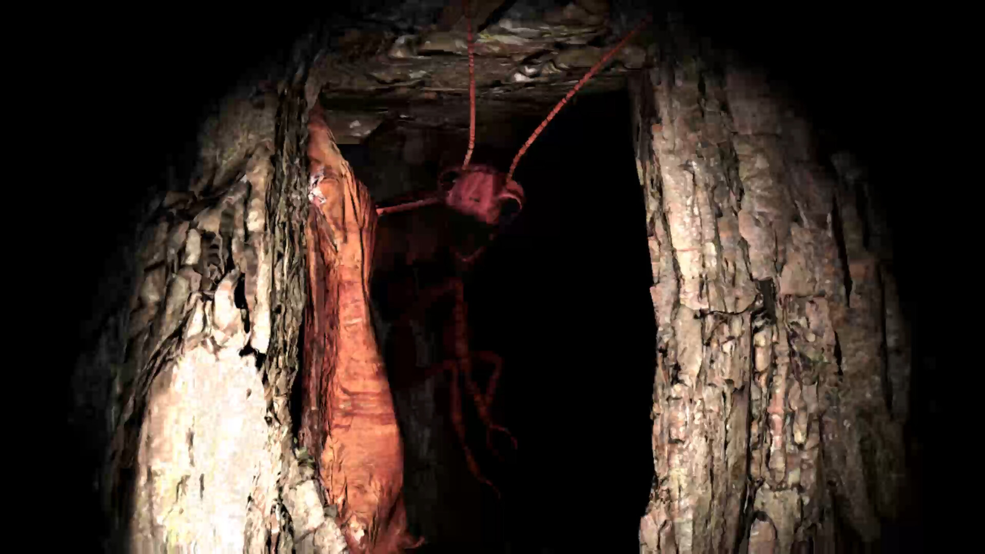 Изображение игры: Beheaded Minotaur