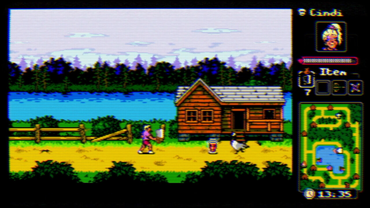 Изображение игры: Screaming Savage Blood Death