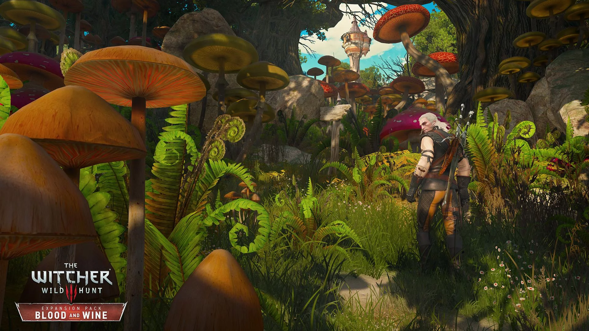 Изображение игры: The Witcher 3: Wild Hunt – Blood and Wine