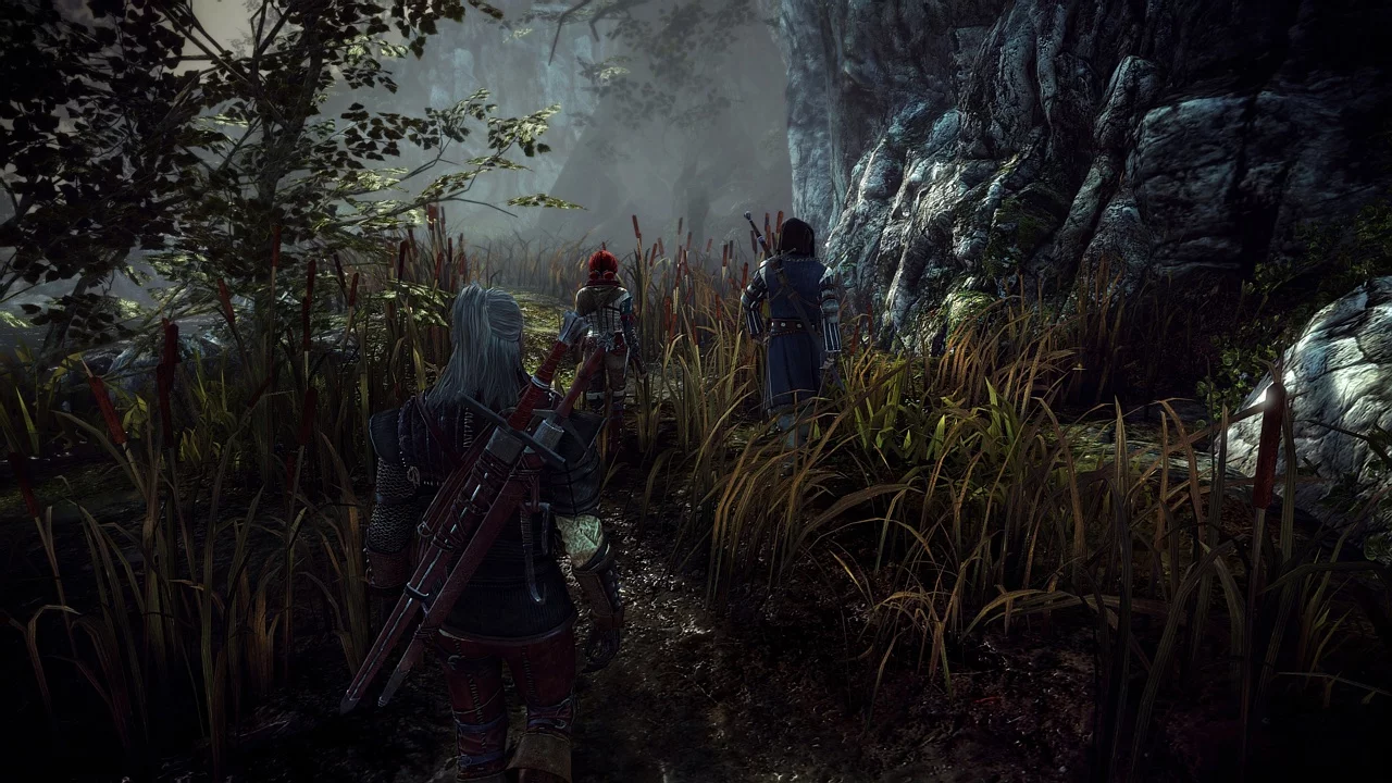 Изображение игры: The Witcher 2: Assassins of Kings