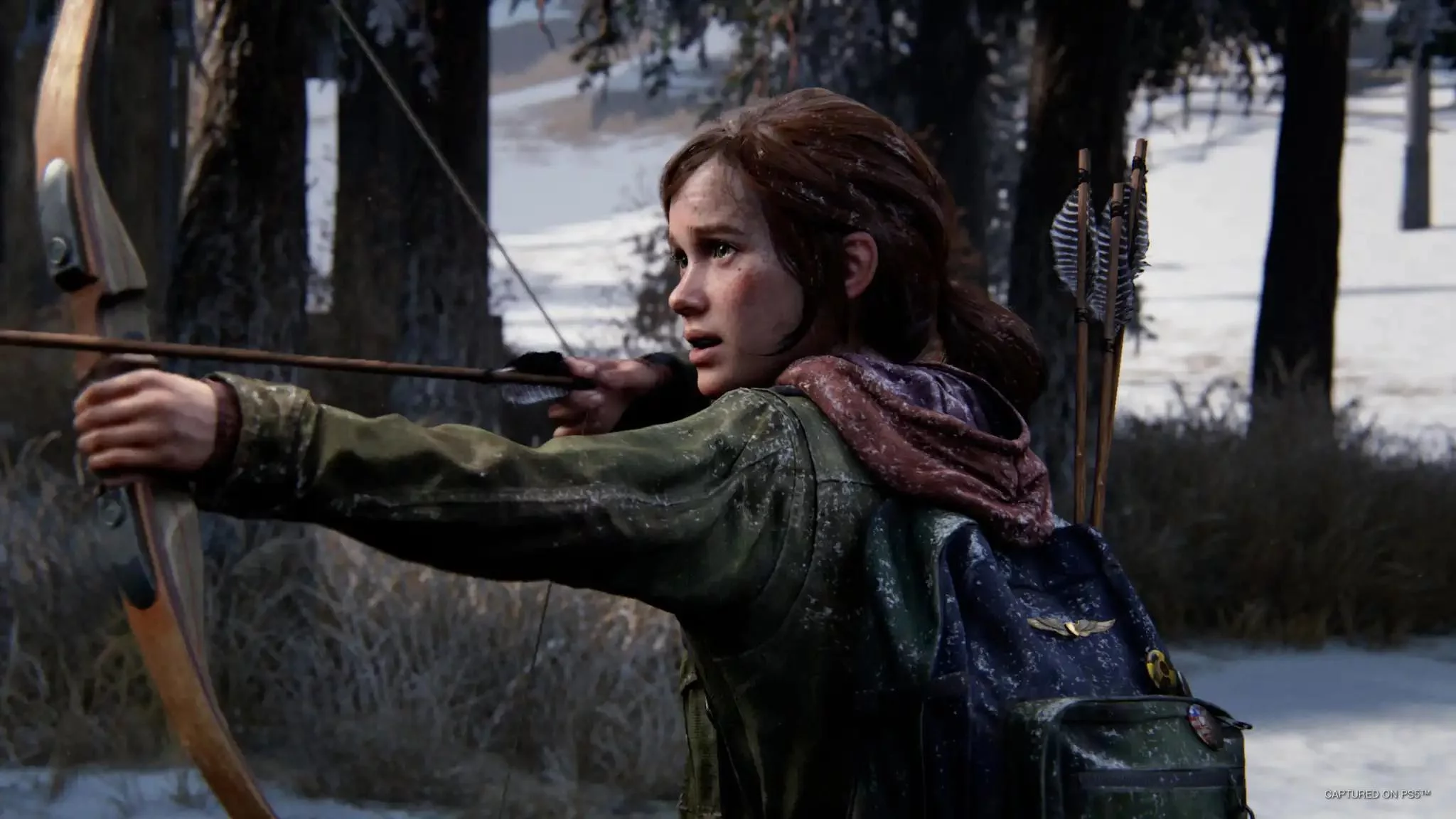 Изображение игры: The Last of Us Part I