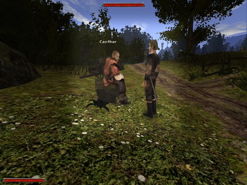 Изображение игры: Gothic 2