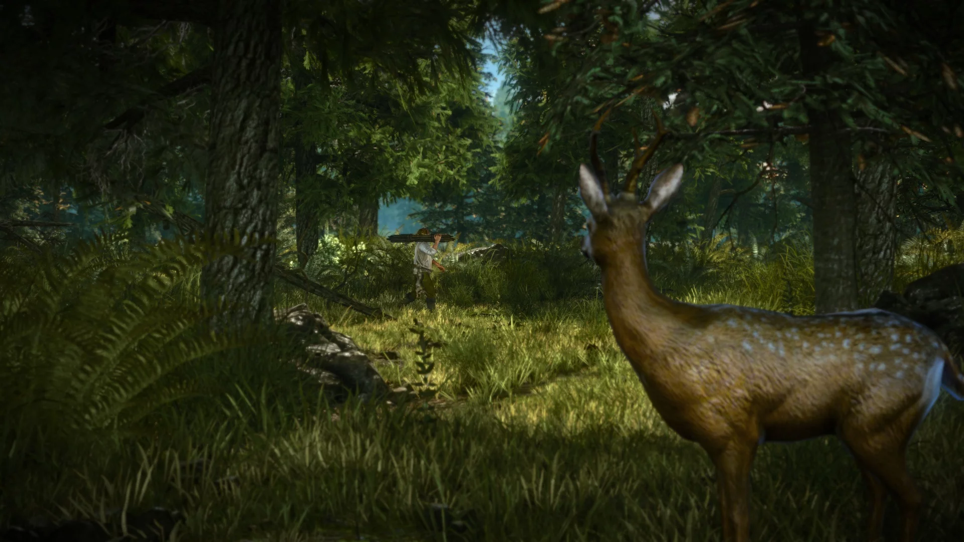 Изображение игры: The Witcher 2: Assassins of Kings Enhanced Edition