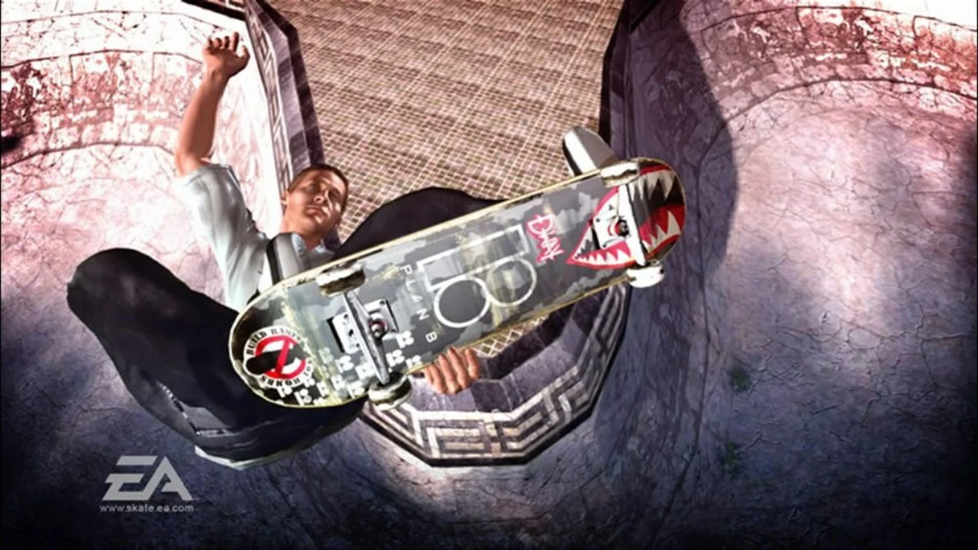 Изображение игры: skate.