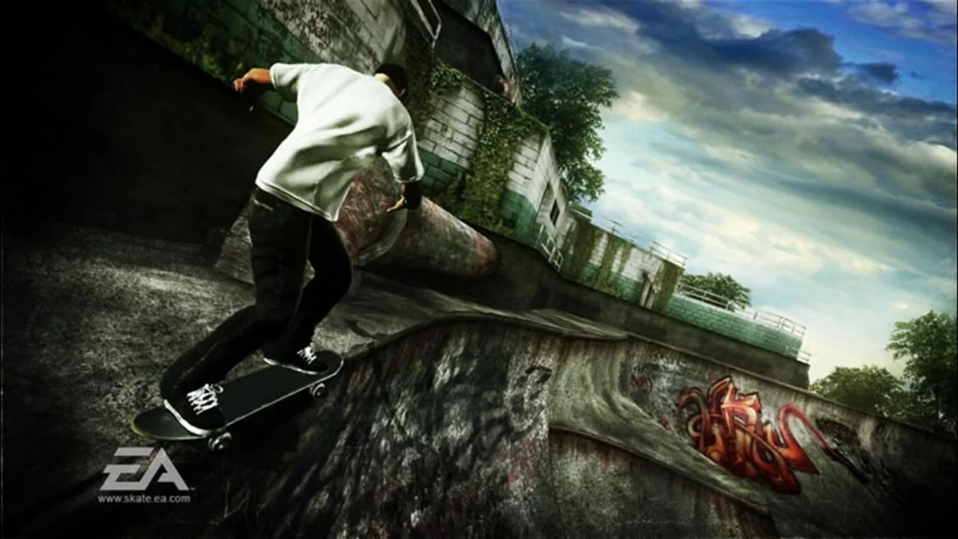 Изображение игры: skate.