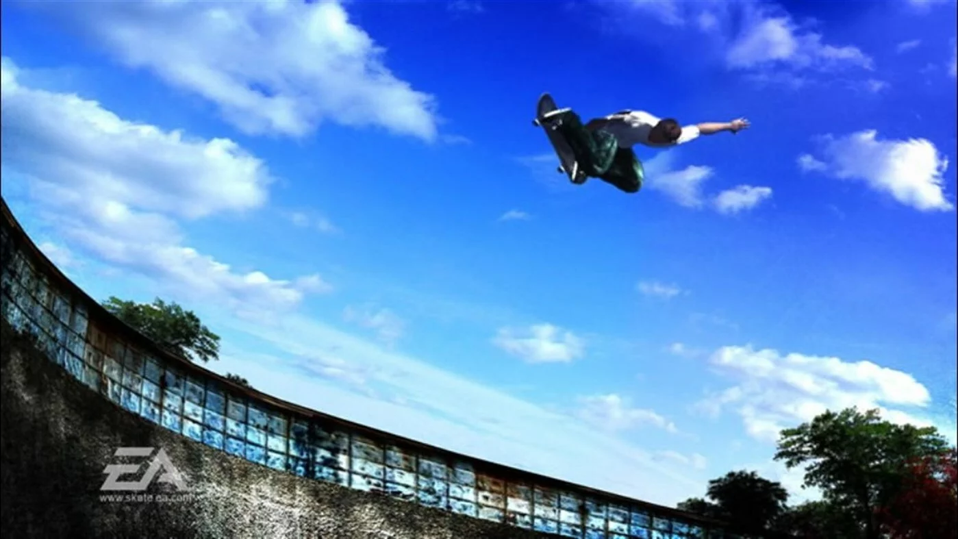 Изображение игры: skate.