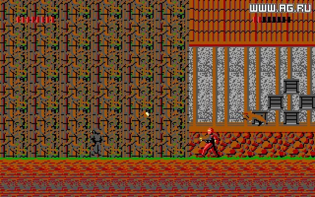 Изображение игры: Shadow Knights
