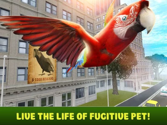 Изображение игры: City Parrot Simulator 3D