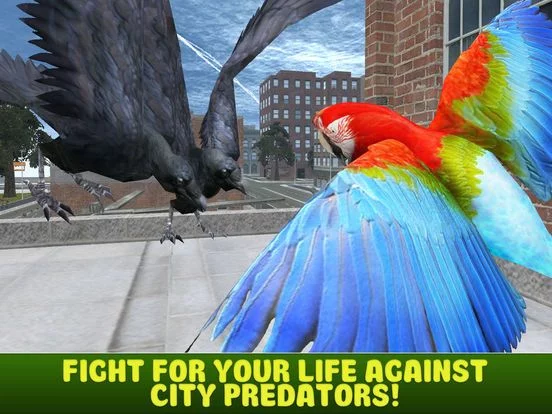 Изображение игры: City Parrot Simulator 3D