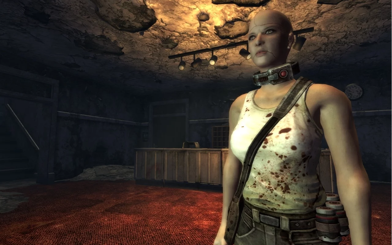 Изображение игры: Fallout: New Vegas - Dead Money