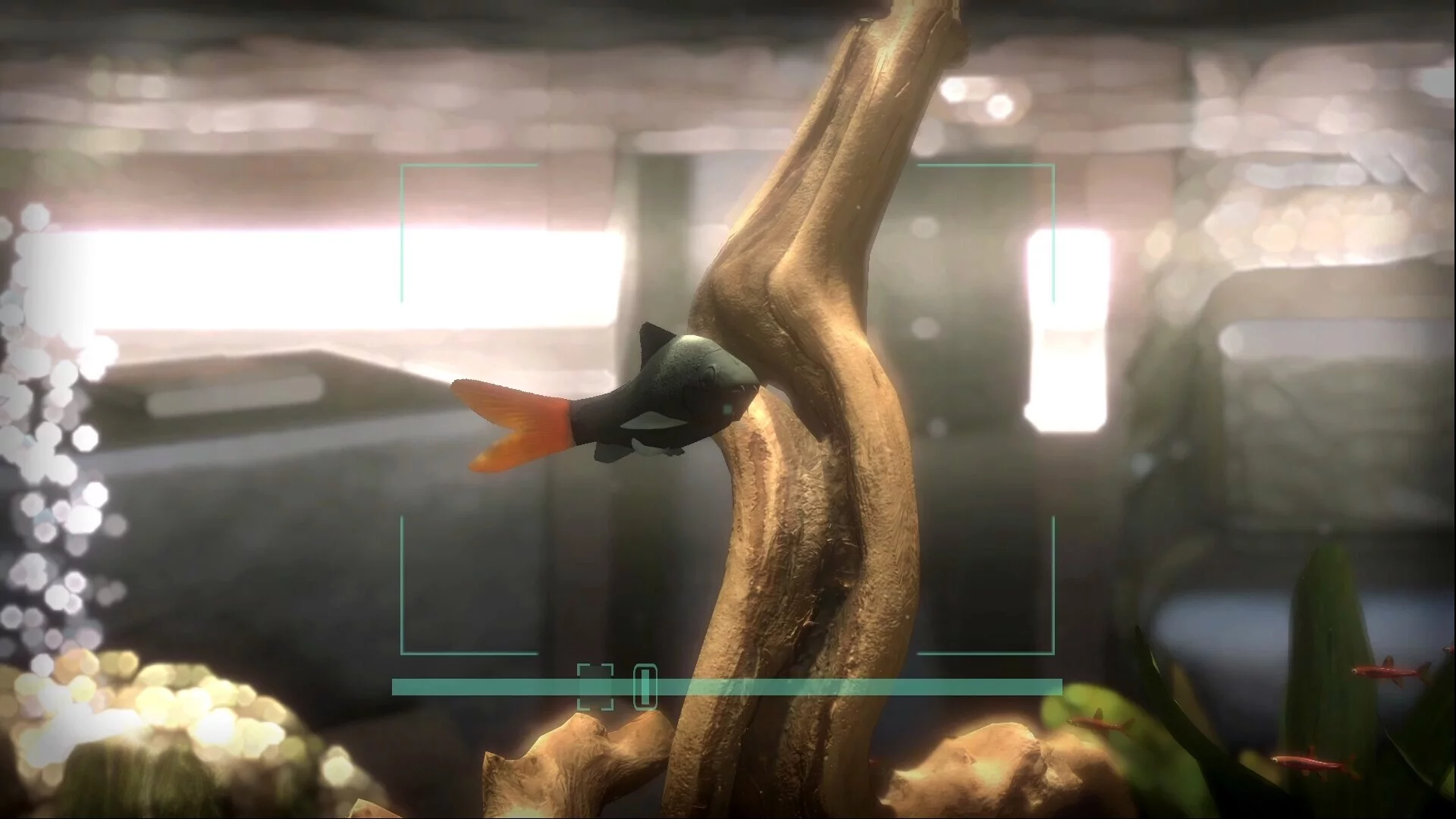 Изображение игры: Snapshot Aquarium